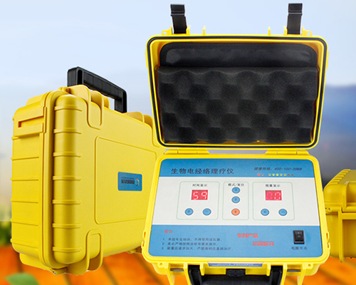 生物電經絡理療儀